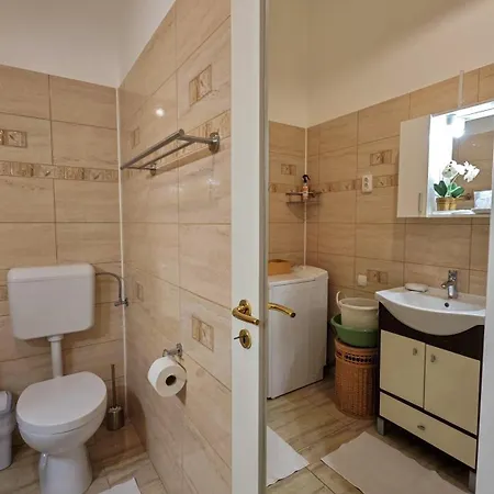 Neuhausz Residenz Ultra-Central Apartment Timisoara Exterior foto