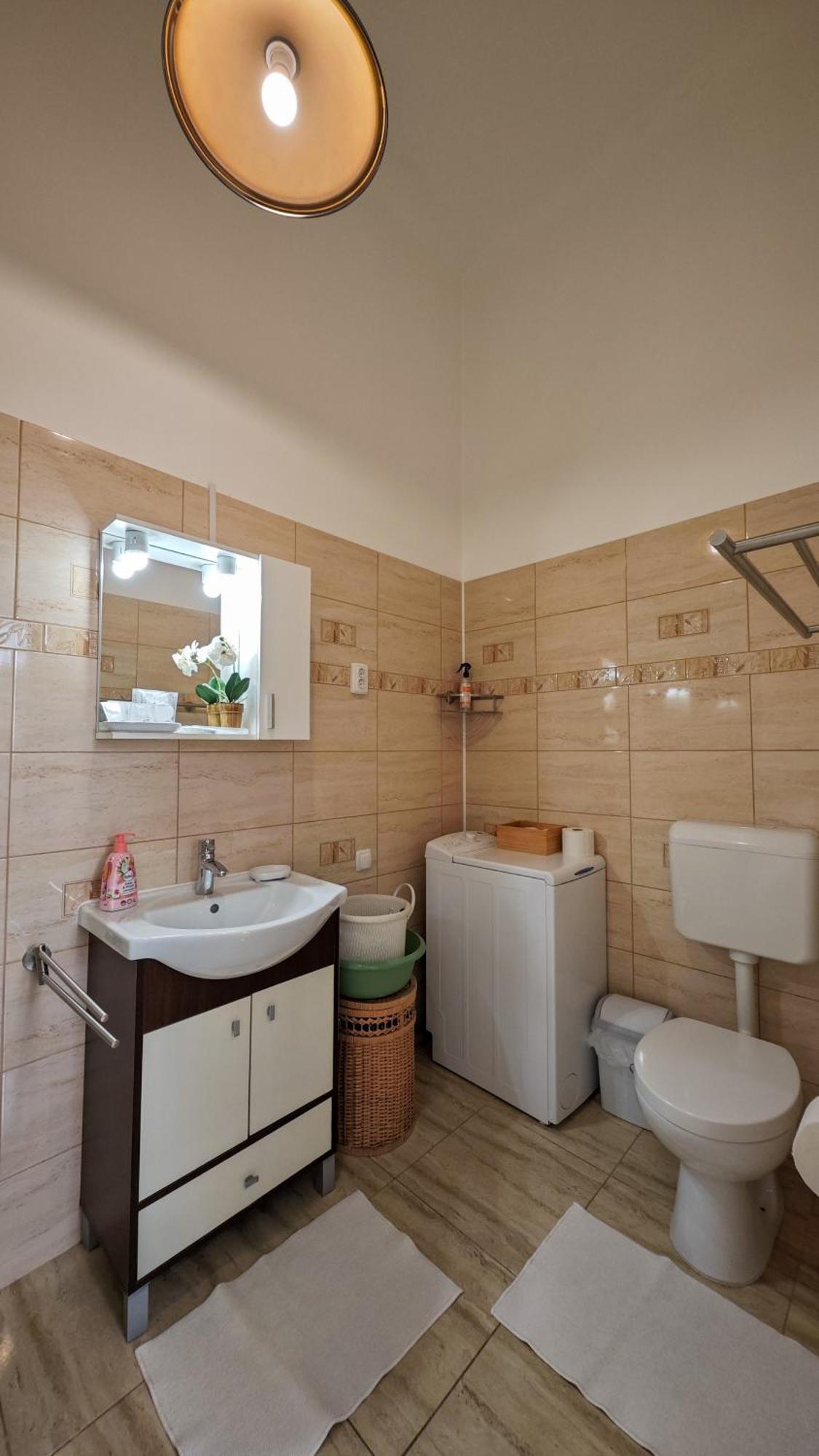 Neuhausz Residenz Ultra-central Apartamento Timisoara